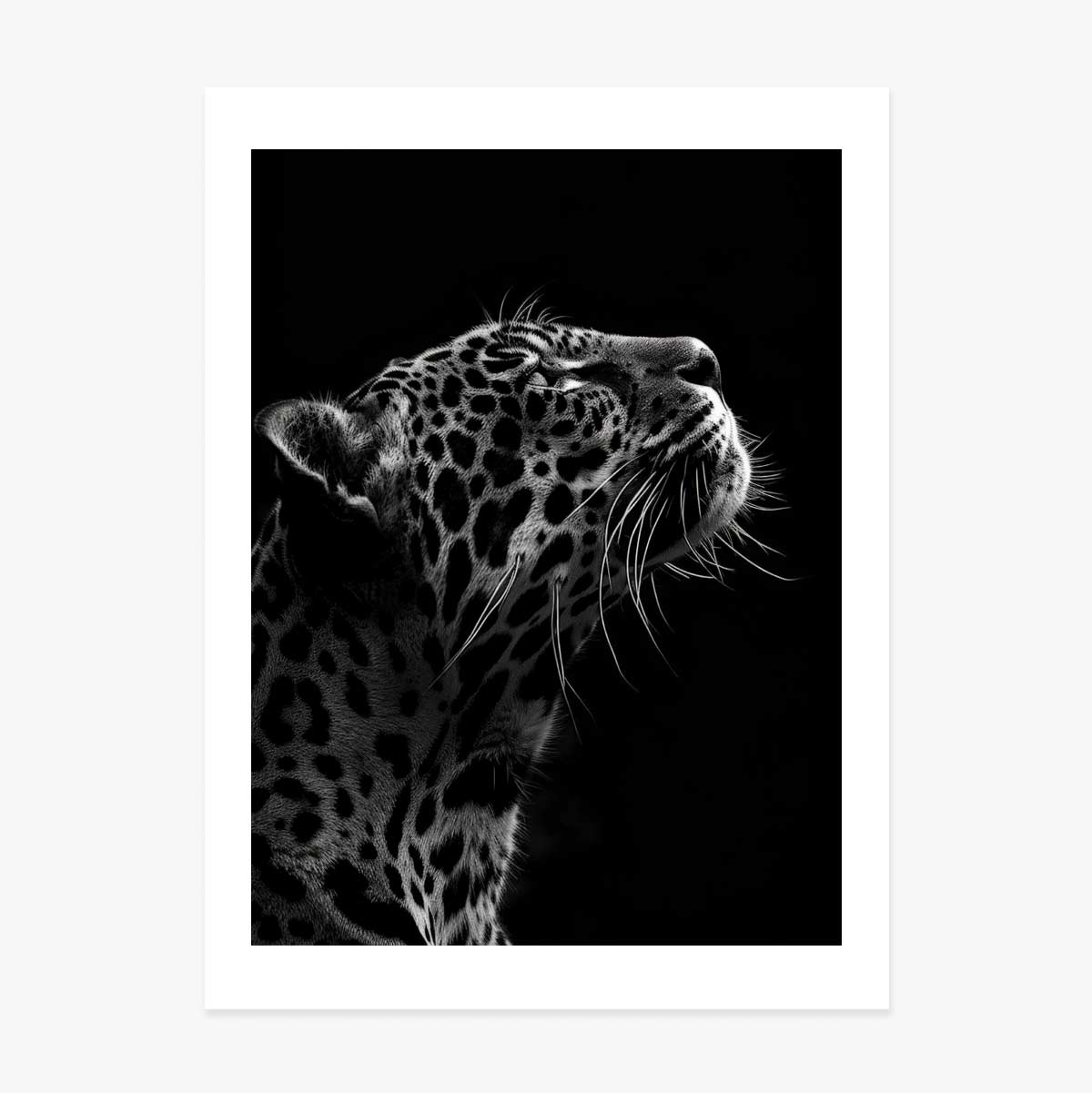 Plakat „Black and White Jaguar”
