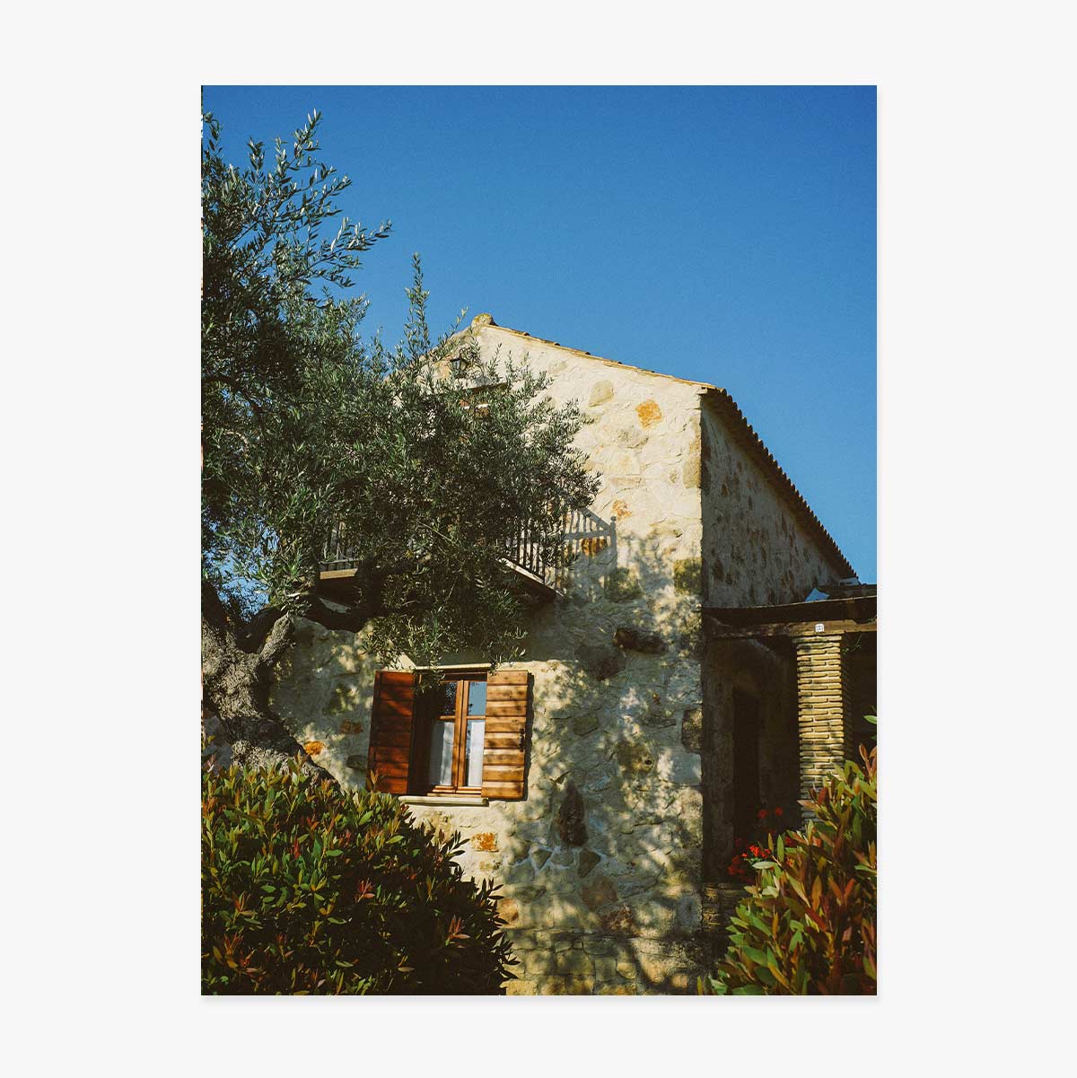 Plakat „Blue Sky”
