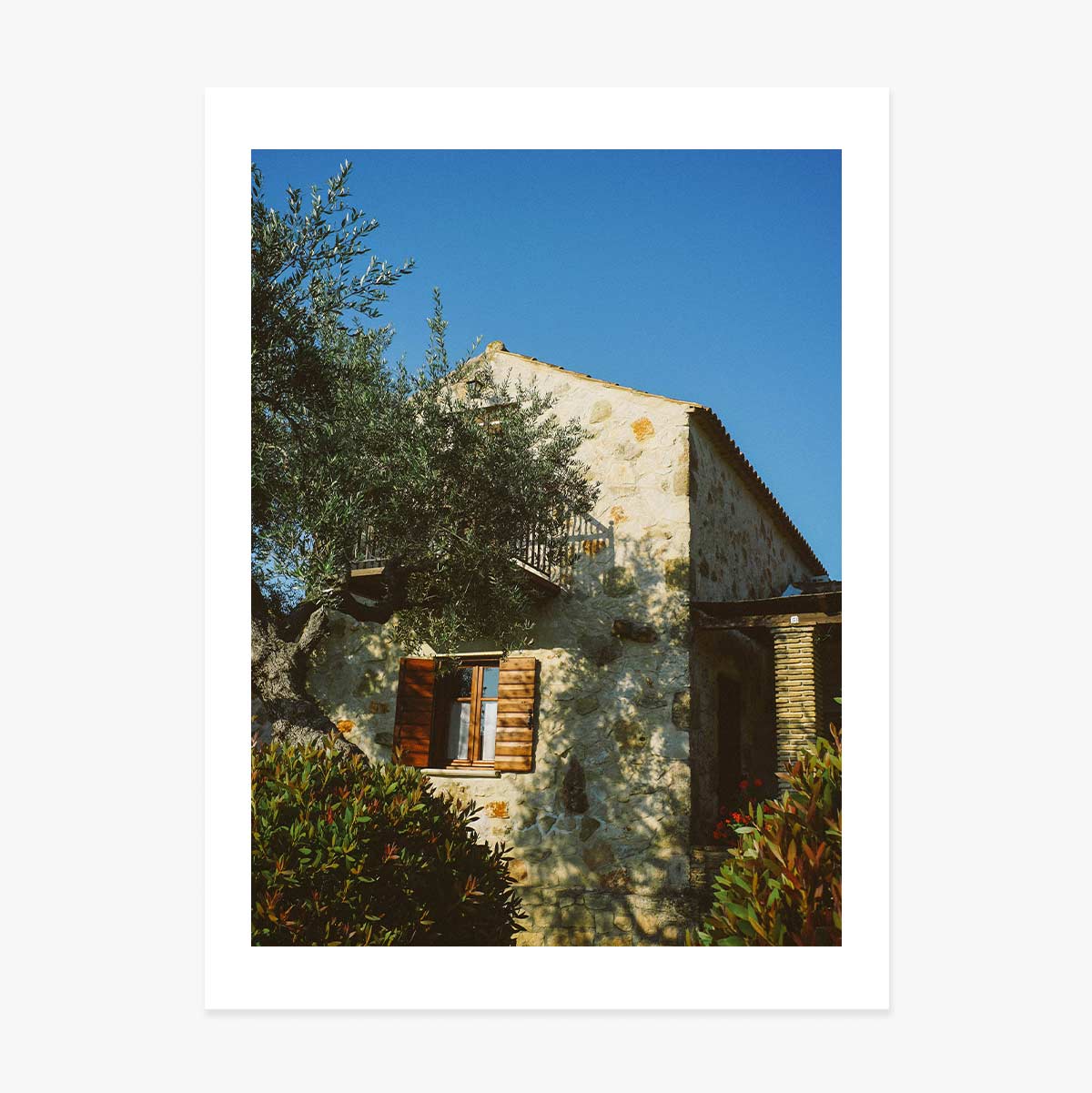 Plakat „Blue Sky”