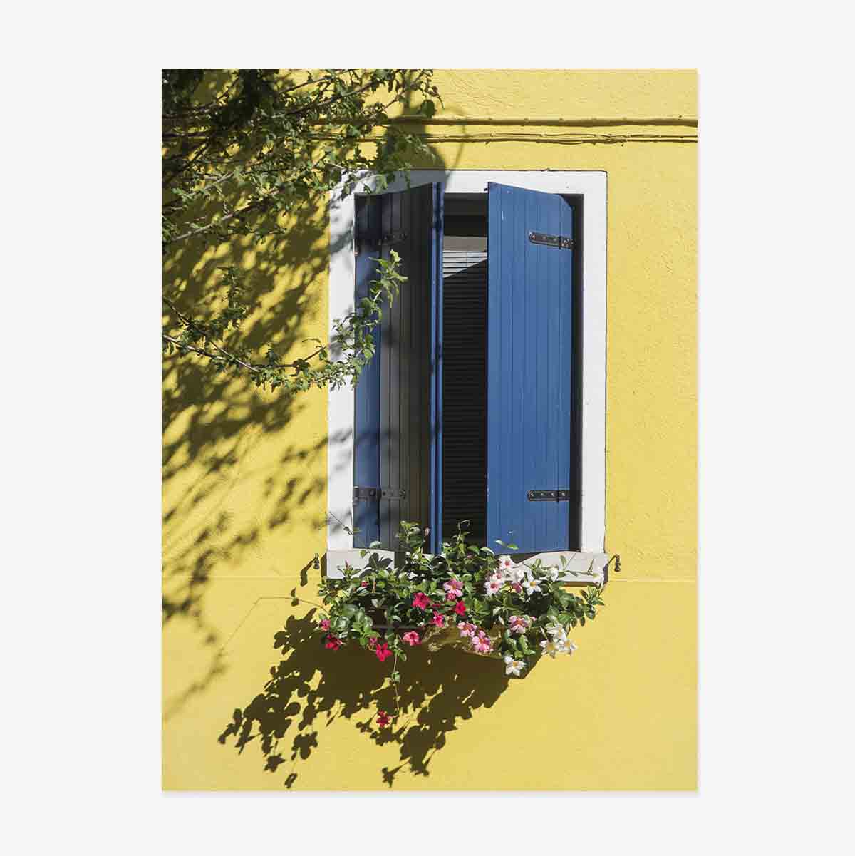 Plakat „Niebieskie okno z kwiatami”