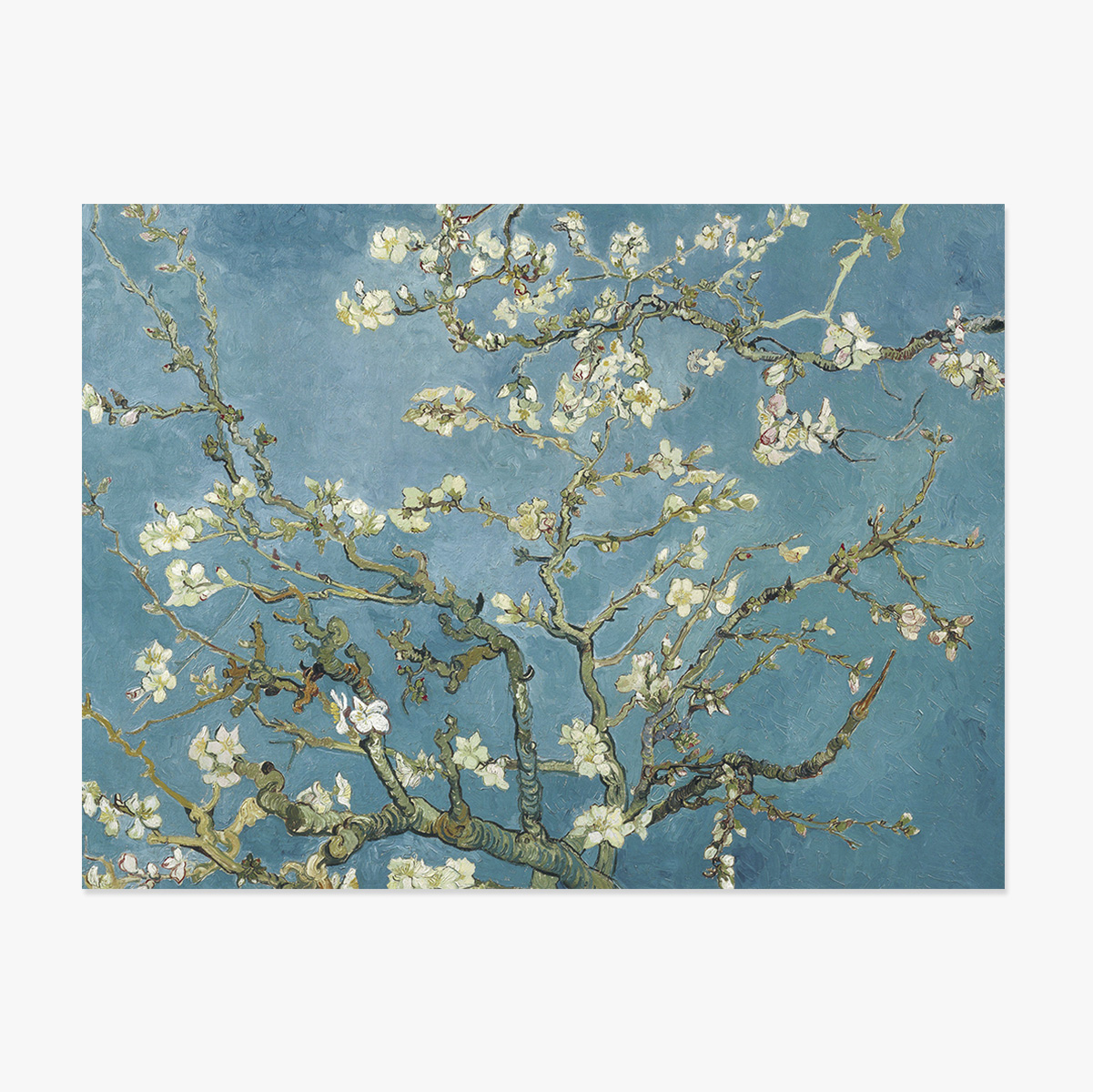 Plakat w formacie poziomym – Vincent van Gogh – Kwitnące gałęzie migdałowca, 1890