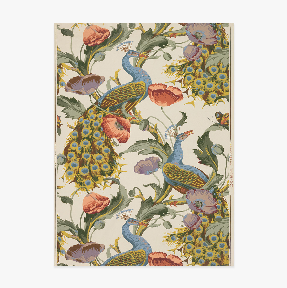 Plakat „Pawie i maki” w stylu vintage