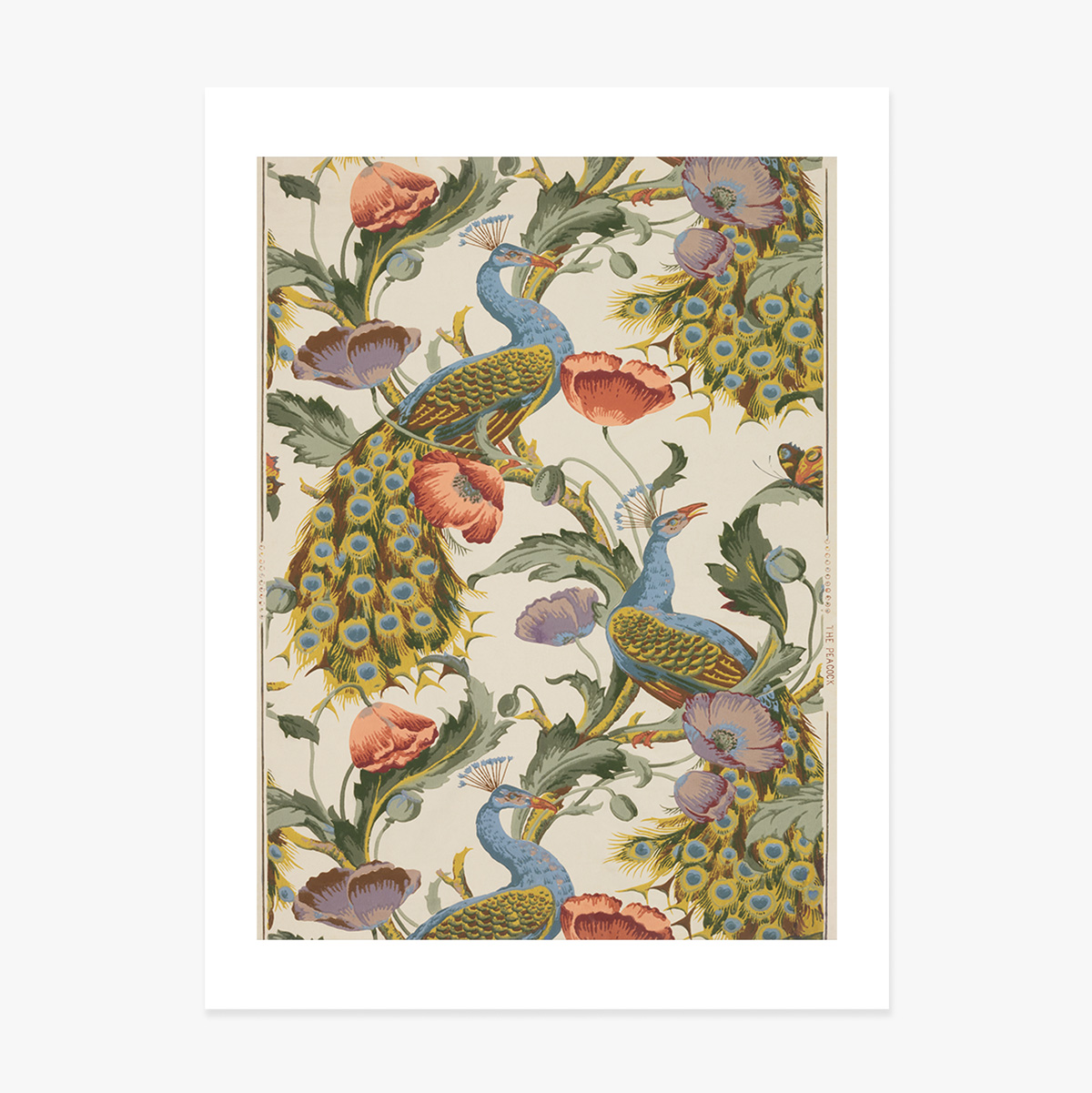 Plakat „Pawie i maki” w stylu vintage