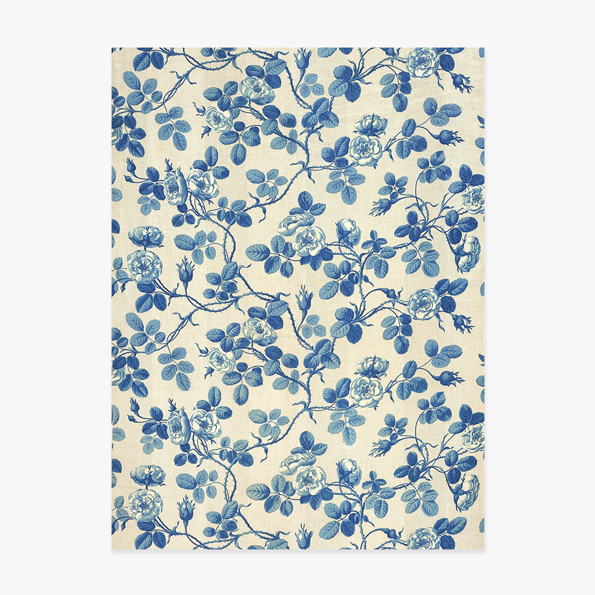 Blue Plants Poster