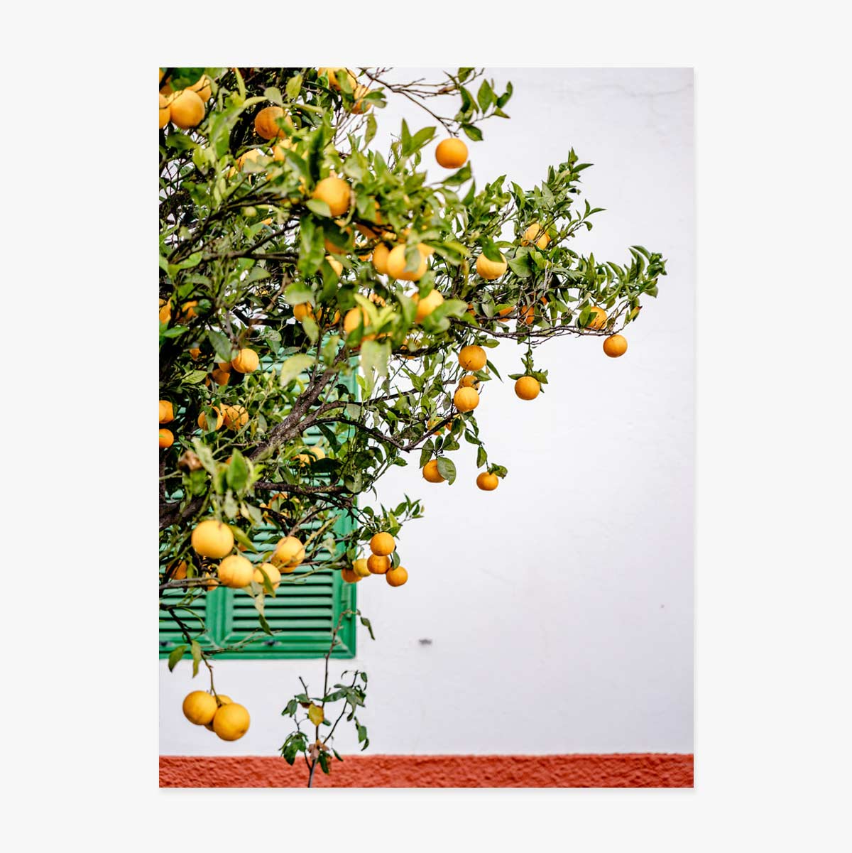 Plakat „Tangerines”