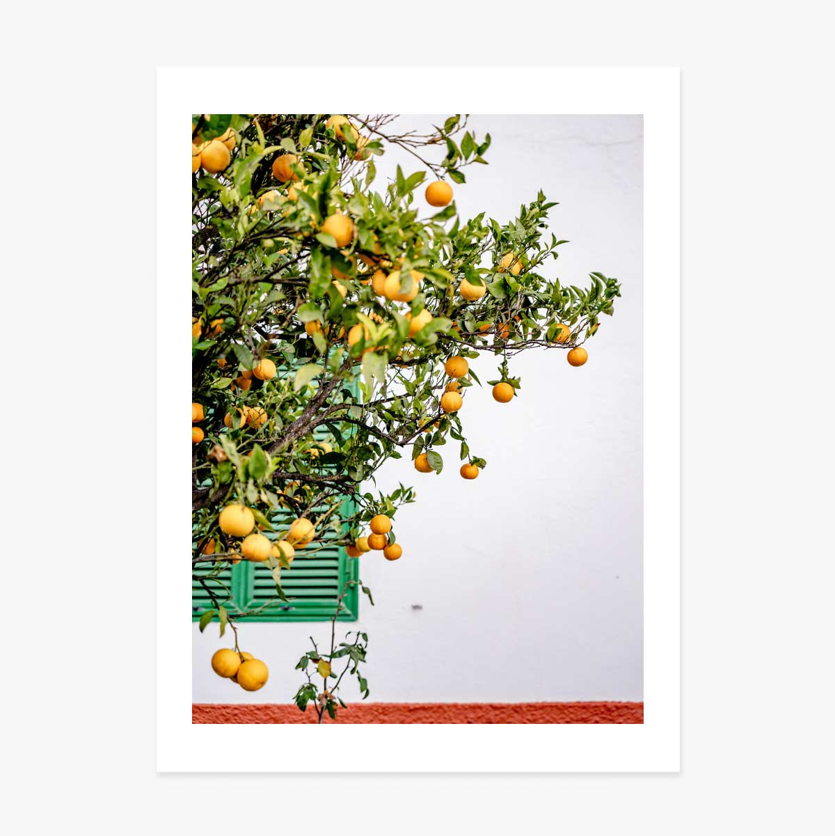 Plakat „Tangerines”